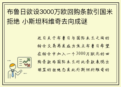布鲁日欲设3000万欧回购条款引国米拒绝 小斯坦科维奇去向成谜