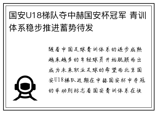 国安U18梯队夺中赫国安杯冠军 青训体系稳步推进蓄势待发