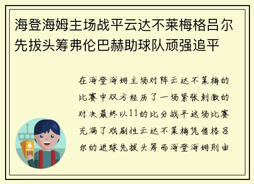 海登海姆主场战平云达不莱梅格吕尔先拔头筹弗伦巴赫助球队顽强追平